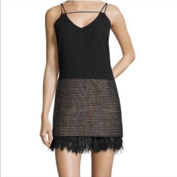 Greylin Dresses & Skirts - GREYLIN | Black Czar Feather Trim Tweed Dress S